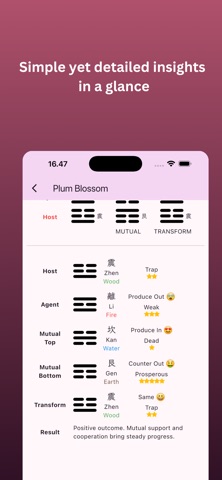 Plum Blossom Journal screenshot
