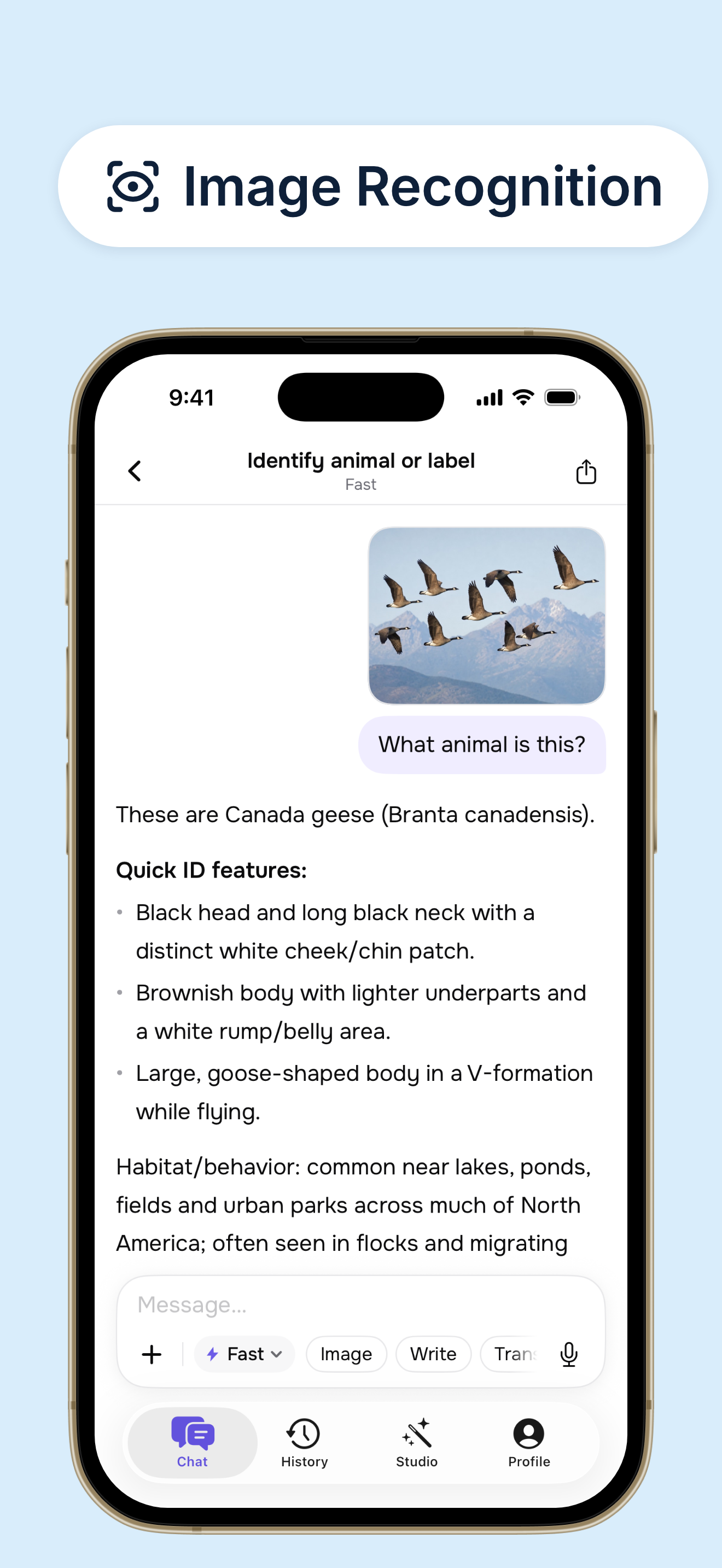 Dola AI: Smart AI Assistant screenshot 6