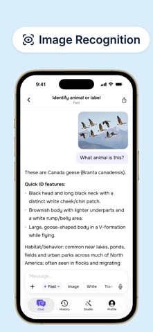 Dola AI: Smart AI Assistant iPhone screenshot 6