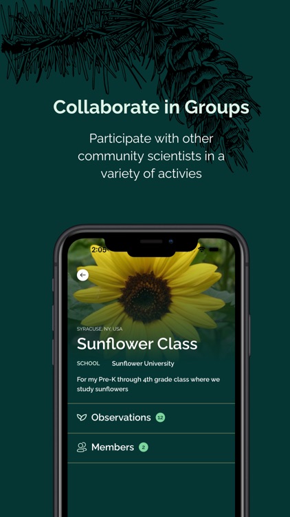 Budburst screenshot-3