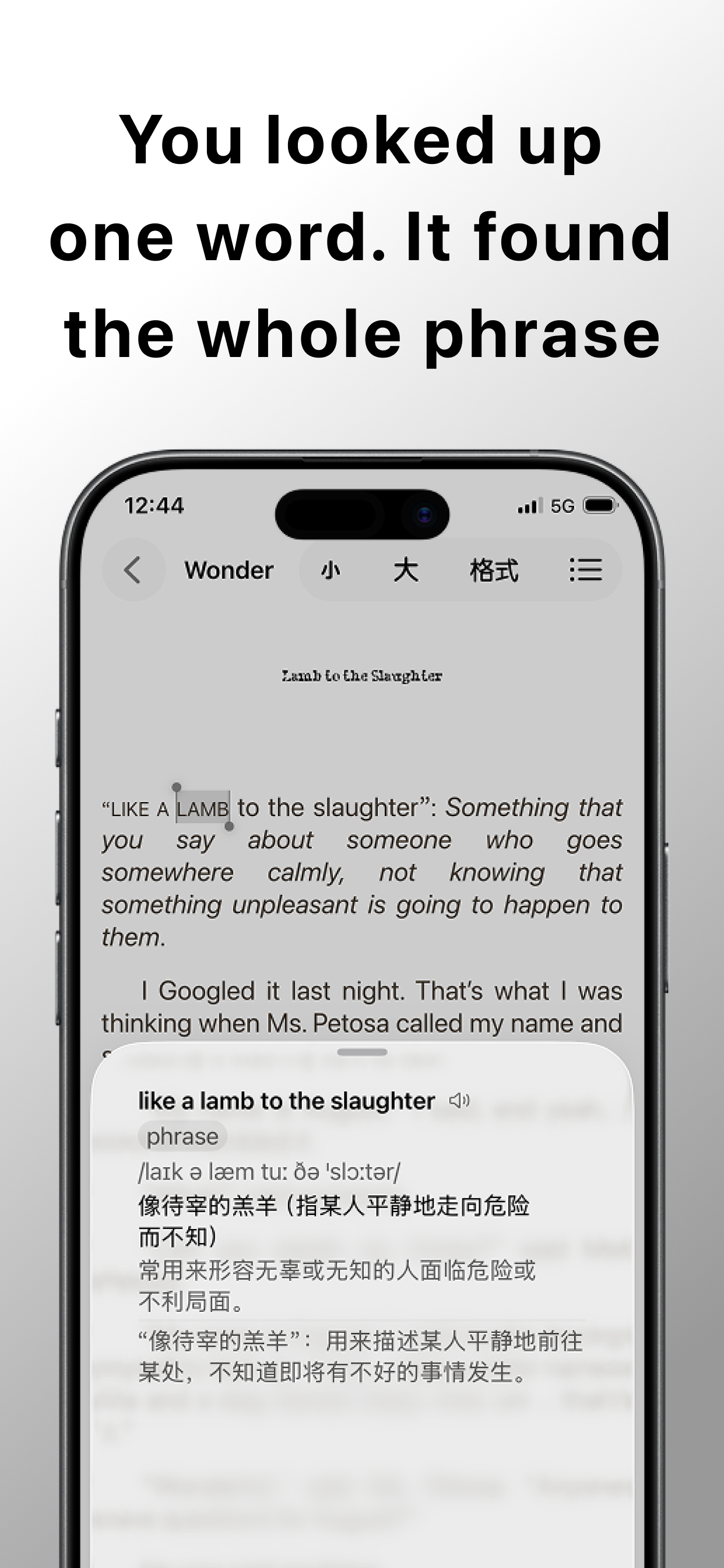 Semanty - Contextual Lookup screenshot 4