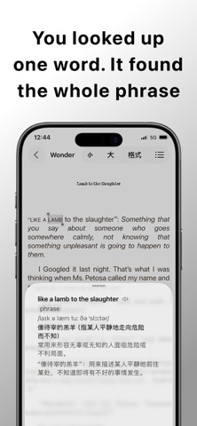 Semanty - Contextual Lookup Screenshot 3 of 7