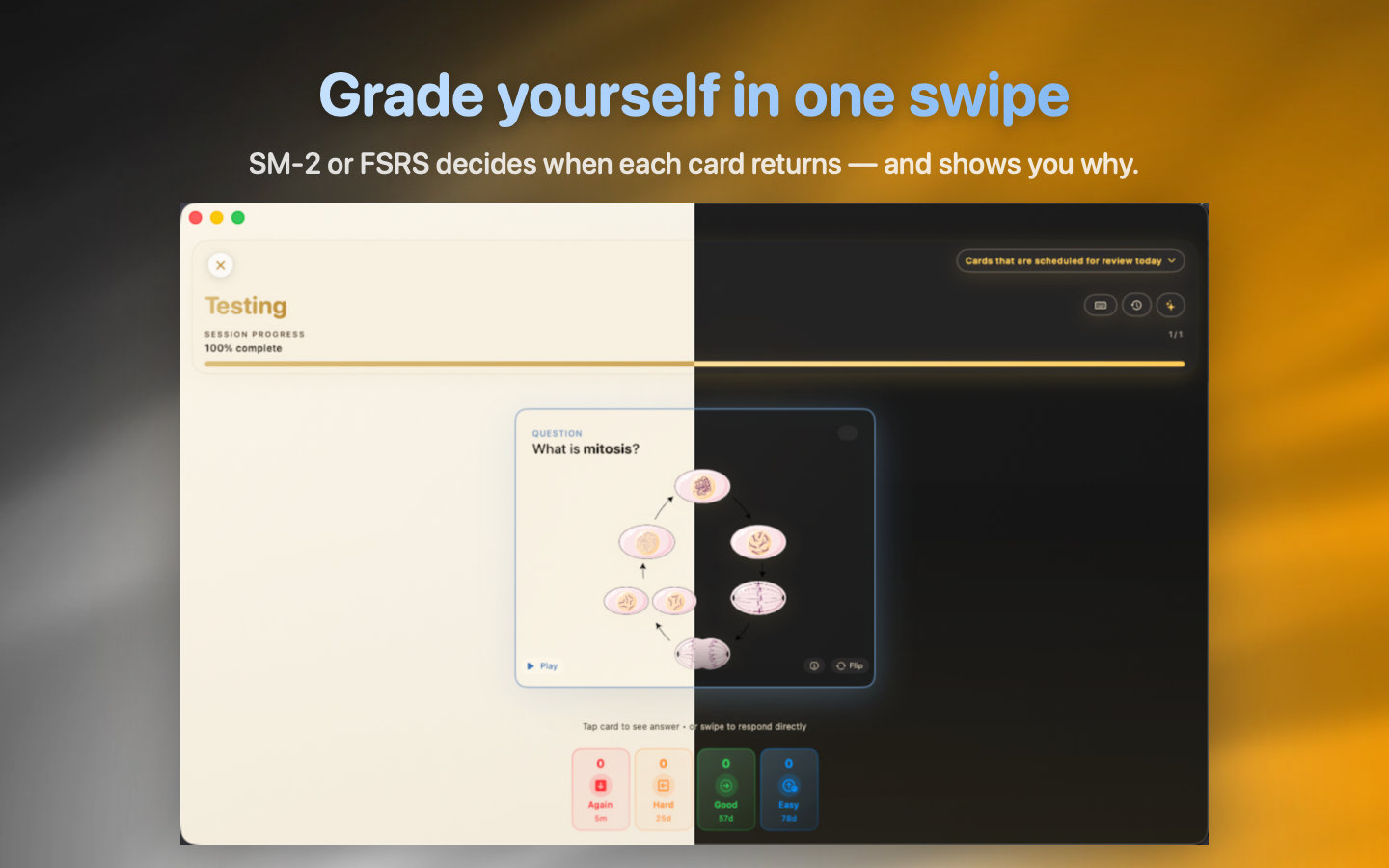JustFlip: Flashcards screenshot 20
