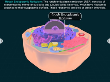 Animal Cell by EduTech Era iPad screenshot