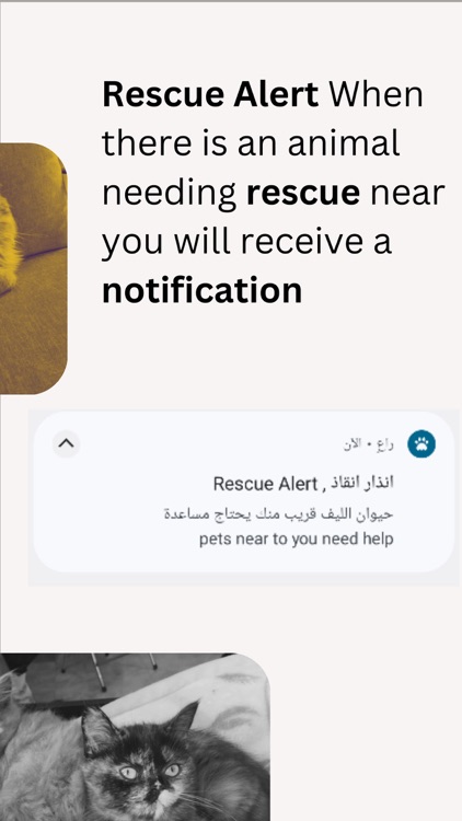 راع RAEI Pet Lovers Community screenshot-5