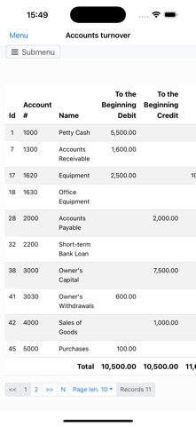 Nano Balance Sheet Screenshot 4 of 10