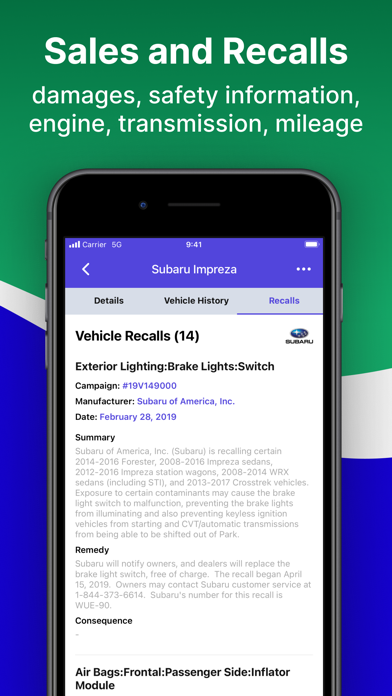 License Plate Lookup Screenshot