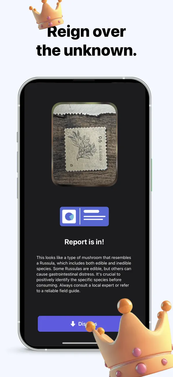 Screenshot #3 pour Analyzer&detector:ThingKing