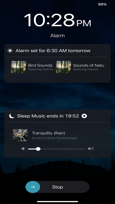 MusicRise Screenshot