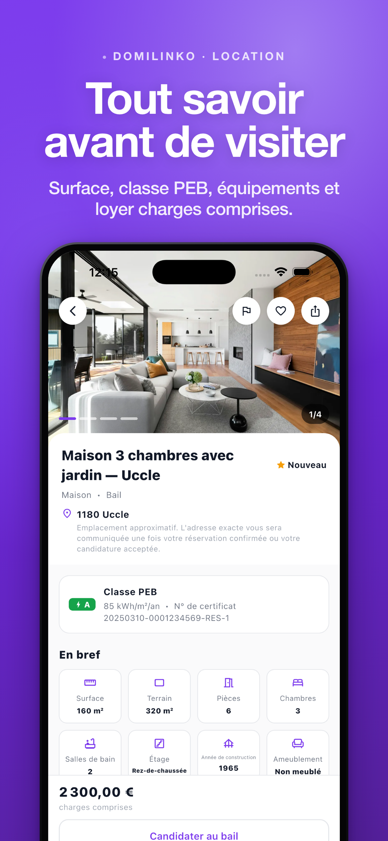 Domilinko screenshot 3