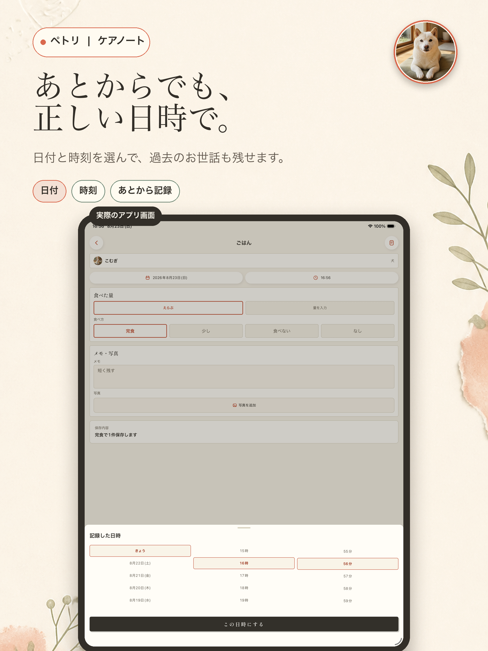 ペトリ screenshot 12