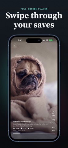 PocketTok - Save Videos iPhone screenshot