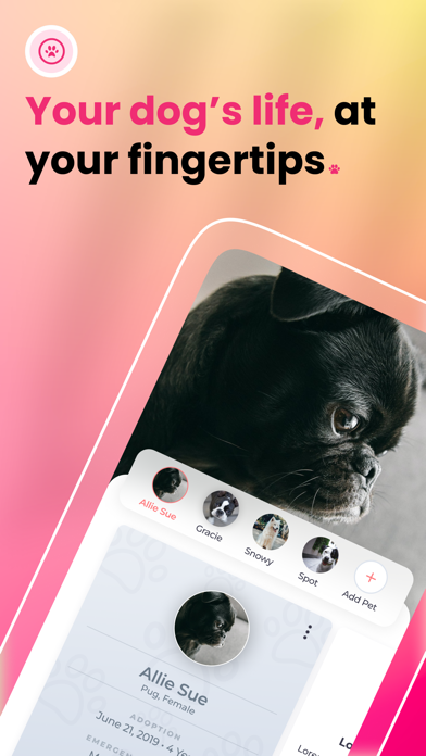 Wiggles—Be the Best Dog Parent Screenshot