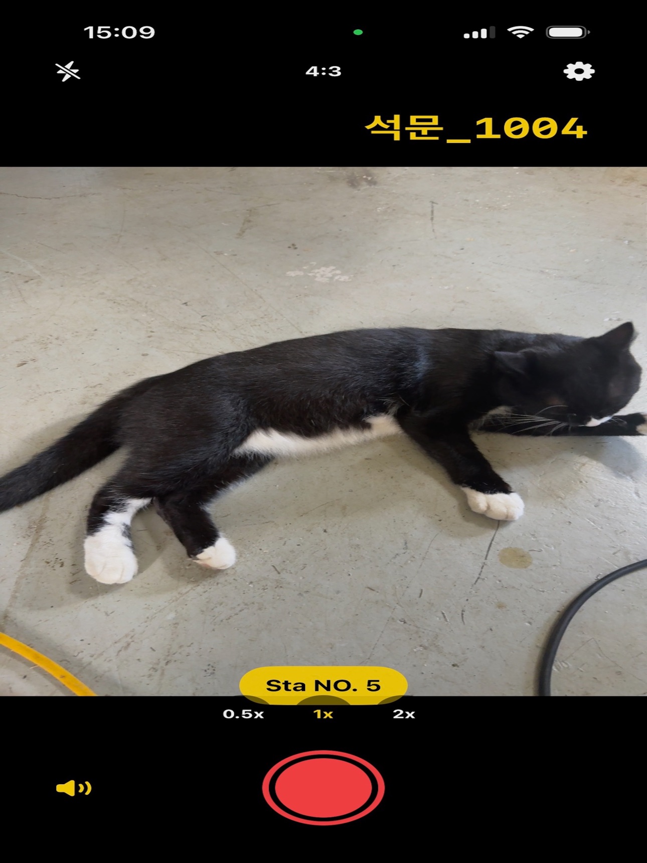 Screenshot 6 of NumberingCamera
