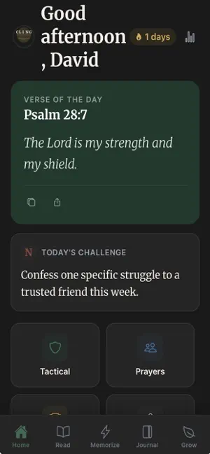 CLING: Tactical Theology screenshot 2