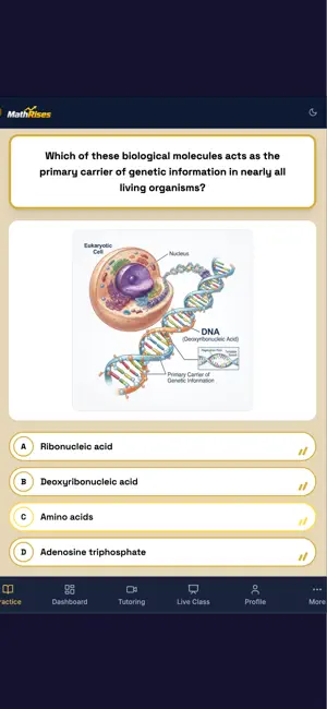 MathRises screenshot 3