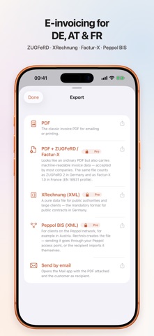 Invoices & E-Invoices: Rechnio iPhone screenshot