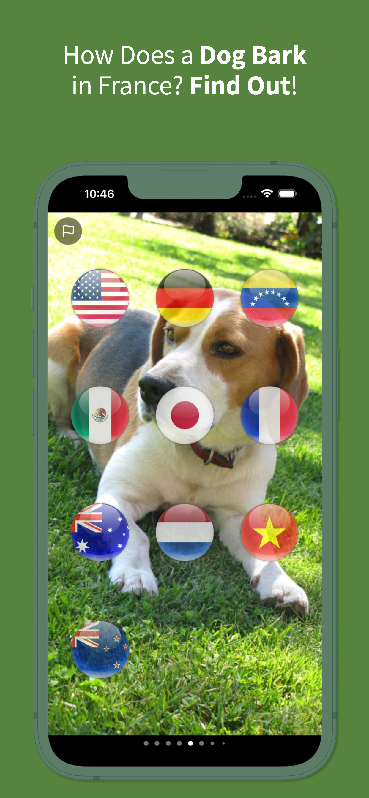 Animal Sounds Translator