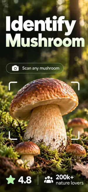 Mushroom Identifier: Mycore screenshot 1
