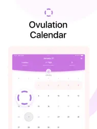 Menstruasjonskalender + ipad bilder 2