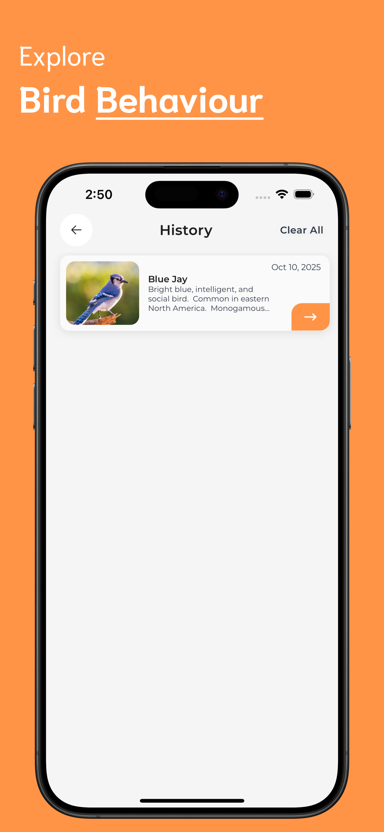 Bird Identifier - BI screenshot 4