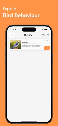 Bird Identifier - BI screenshot