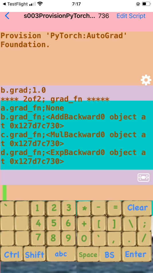 #8. PeterJohnPyTorch (iOS) di: Yasushi Obata