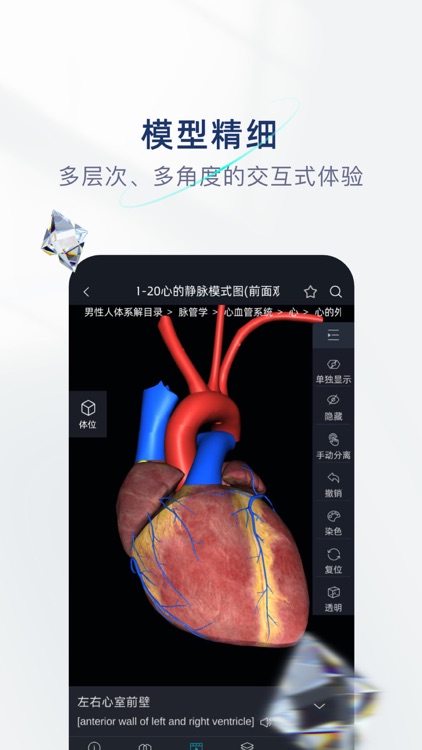 数字人STEM解剖学系统