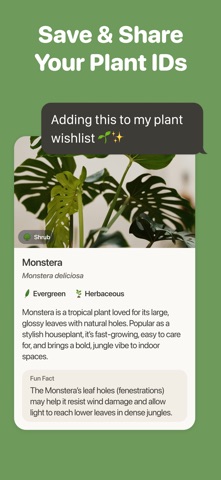 Tree Identifier by TreePic Screenshot 6 of 7