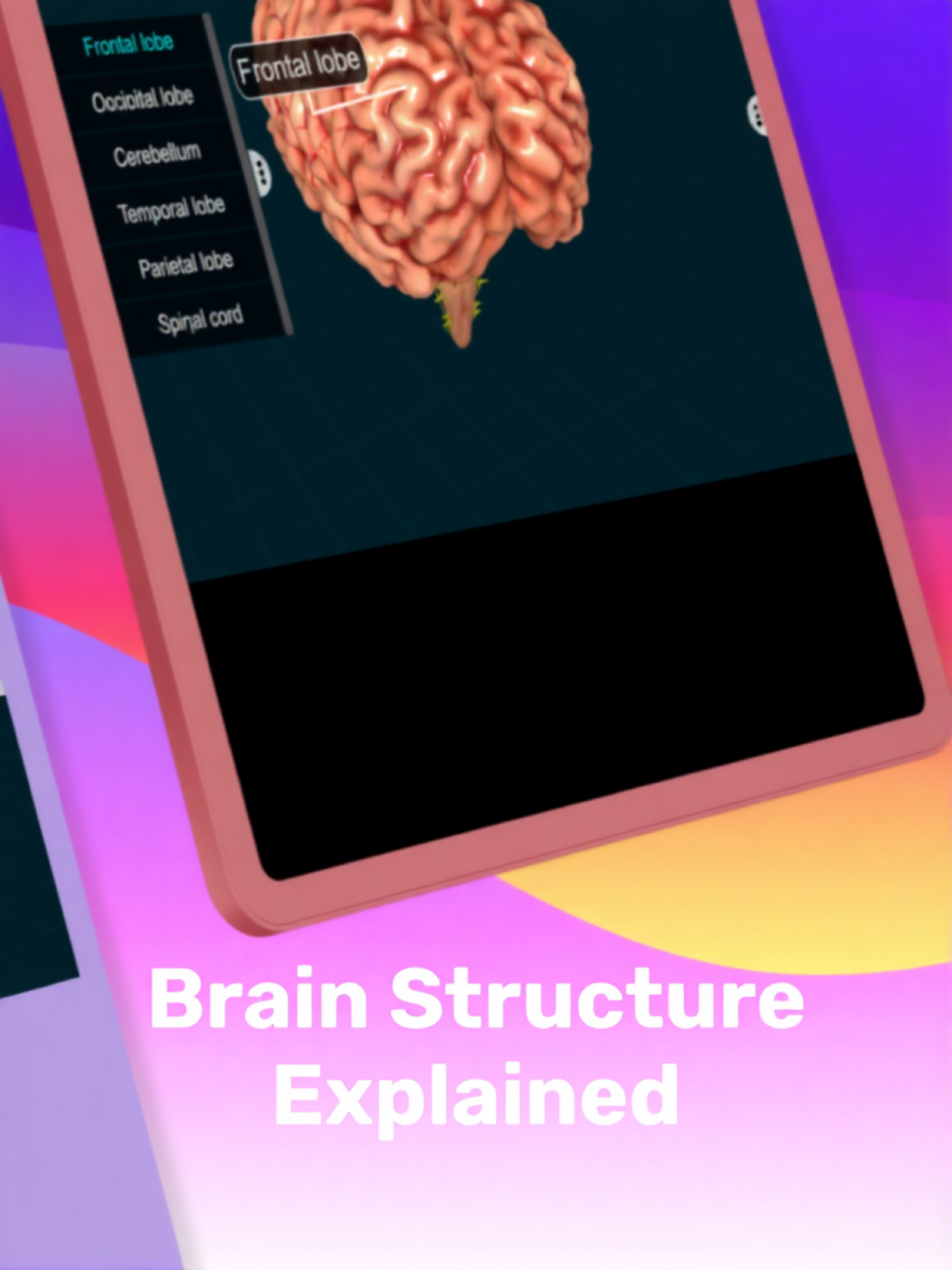 Human Brain by EduTech Era screenshot 9