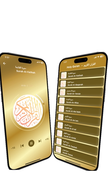 Maher Maeqli Quran mp3 offline screenshot-9