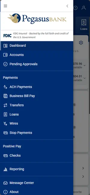Pegasus Bank TMS screenshot 3