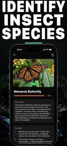 Bugo AI: Bug Identifier Screenshot 1 of 6