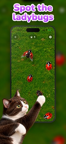 Fish Game for Cats: Bird, Bug Screenshot 6 of 6