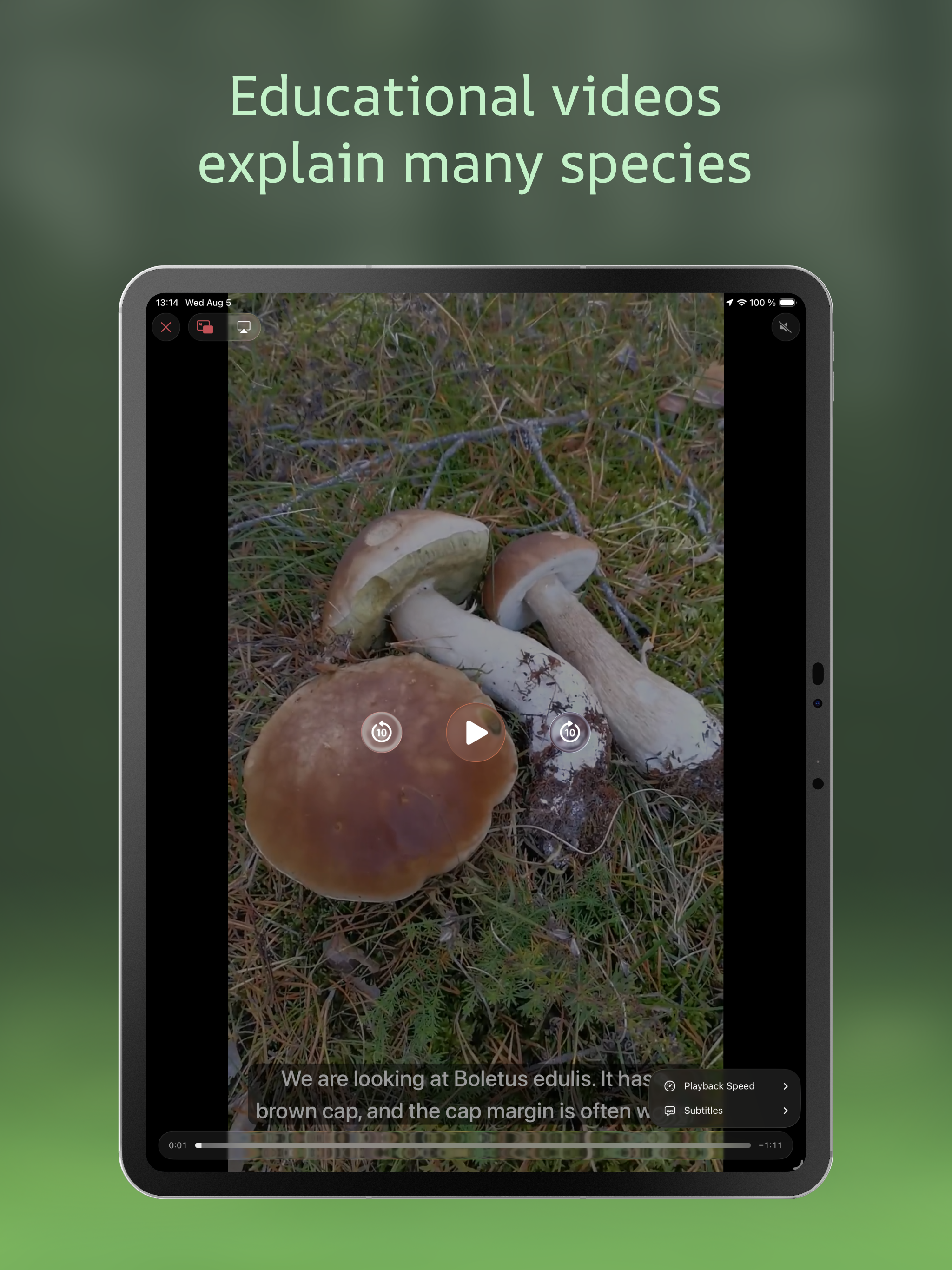 Svampguiden+: Nordic Mushrooms screenshot 14