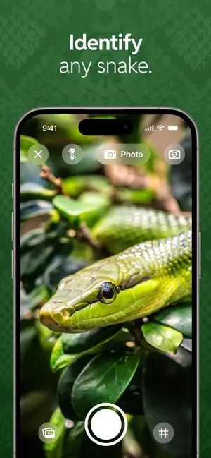 Snake Identifier: SerpentID iPhone screenshot 1