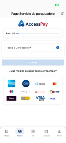 AccessPay - Accesspark screenshot