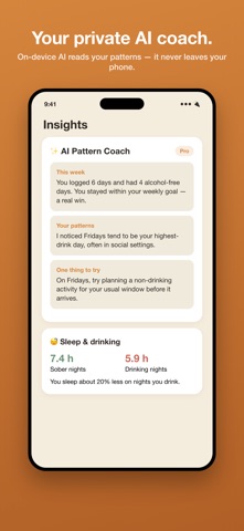 Sober Habit iPhone screenshot