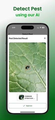 Pezego screenshot