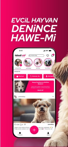Hawe-mi, Evcil Hayvanlar screenshot