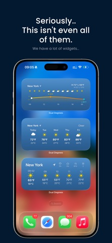 Dual Degrees – C° & F° Weather screenshot