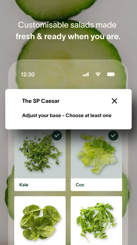 The Salad Project screenshot 3 of 9