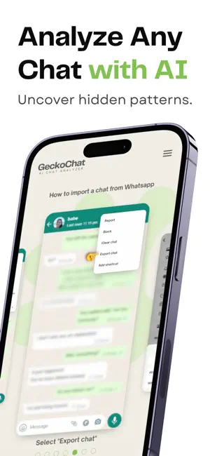 AI Chat Recap - GeckoChat screenshot 1