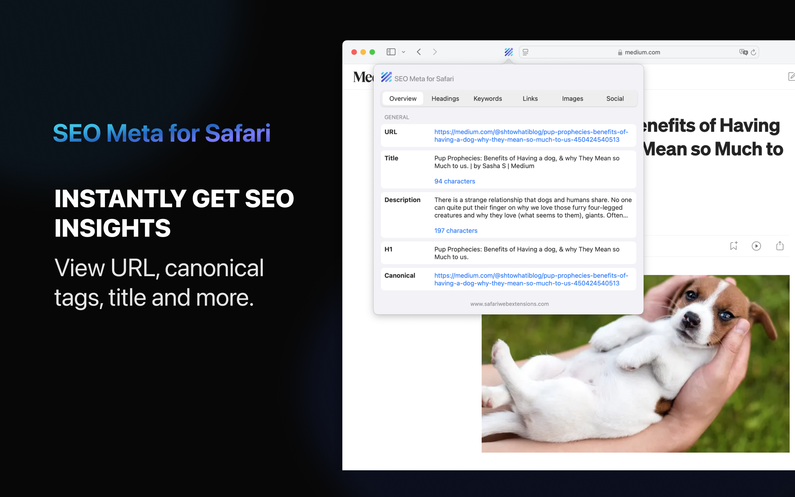 SEO Meta for Safari screenshot 11