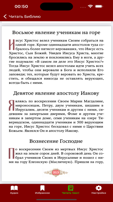 Orthodox Bible for Teens Screenshot