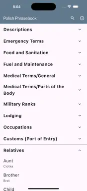 Polish Basic Phrases screenshot 6