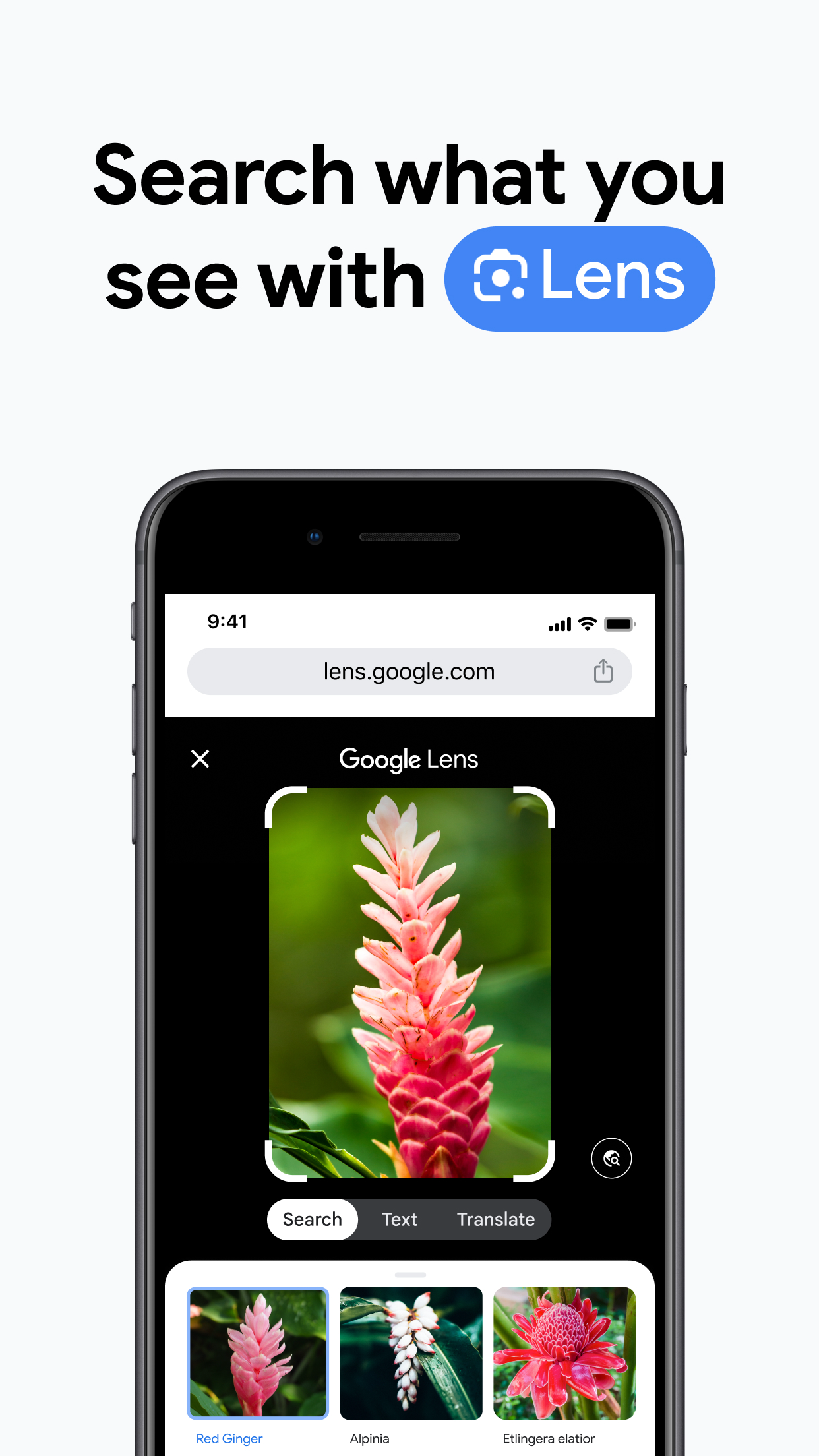 Google Chrome screenshot 2