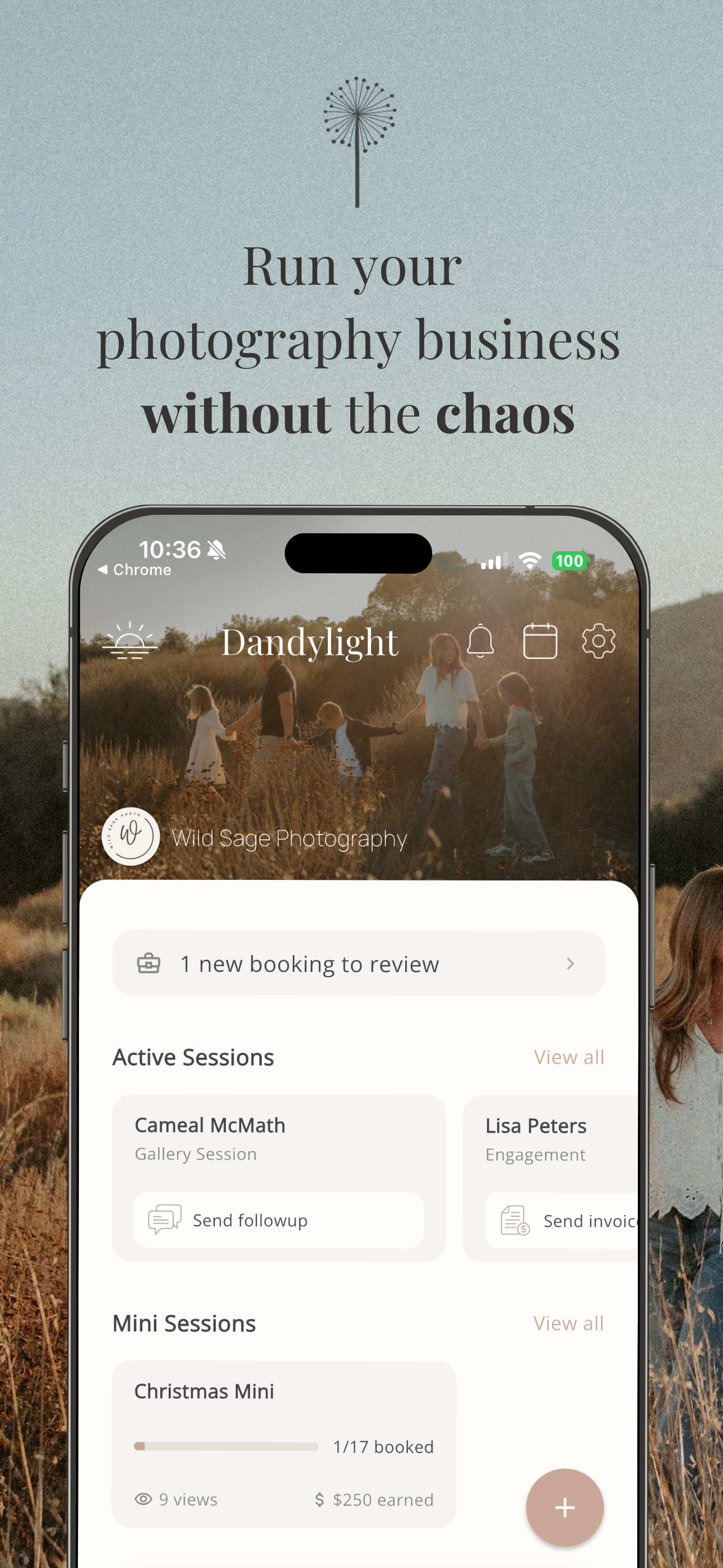 DandyLight for Photographers