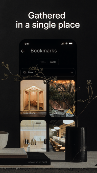Aara Screenshot