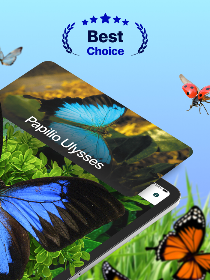 Bug Identifier - Insect ID AI